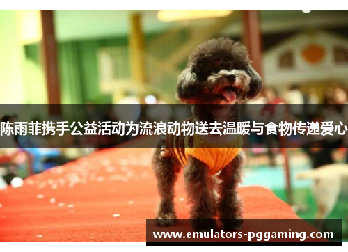 陈雨菲携手公益活动为流浪动物送去温暖与食物传递爱心