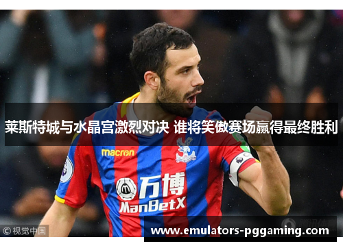 莱斯特城与水晶宫激烈对决 谁将笑傲赛场赢得最终胜利