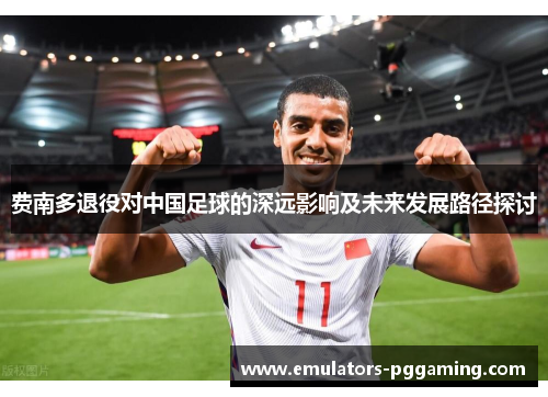 费南多退役对中国足球的深远影响及未来发展路径探讨