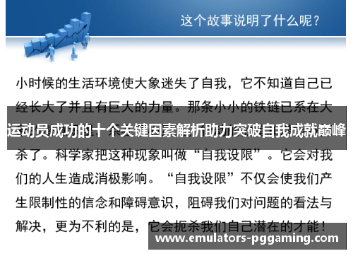 运动员成功的十个关键因素解析助力突破自我成就巅峰