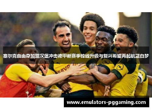 塞尔克自由身加盟汉堡冲击德甲新赛季锋线升级与复兴希望再起航蓝白梦 塞尔克自由身加盟汉堡冲击德甲新赛季锋线升级与复兴希望再起航蓝白梦