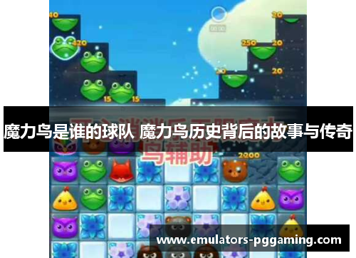 魔力鸟是谁的球队 魔力鸟历史背后的故事与传奇