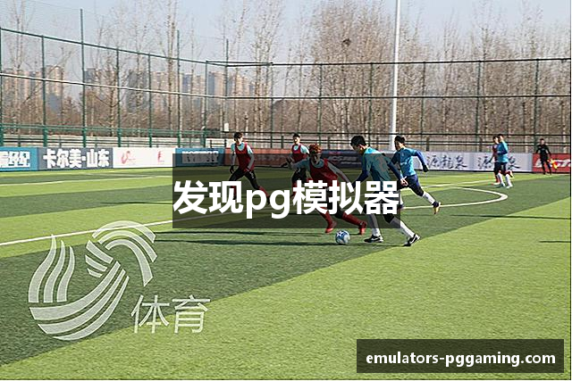 发现pg模拟器